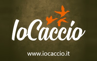 PARTNER - IO CACCIO