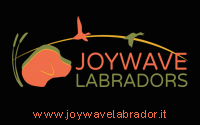 PARTNER - JOY WAVE LABRADORS