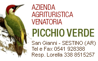 PARTNER - PICCHIO VERDE